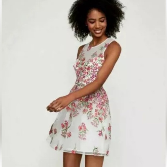 BCBG MaxAzria Gardenia Embroidered Tule Sleeveless Round Neck Dress Size 4 - Picture 4 of 9